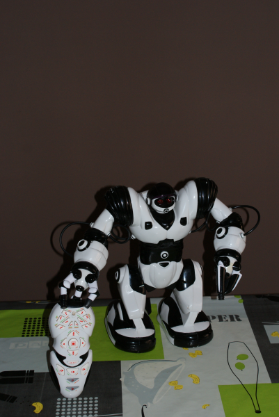 Robosapien