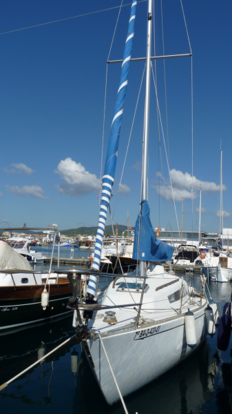 Velero